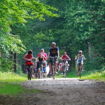 De-Kuilart fietsroutes in bos