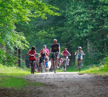 De-Kuilart fietsroutes in bos