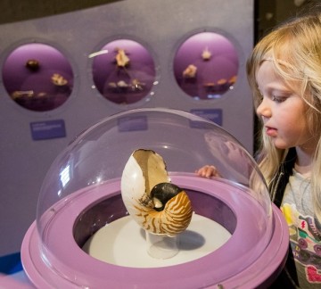 HR - Fries Natuurmuseum Portretten-63 klein.jpg